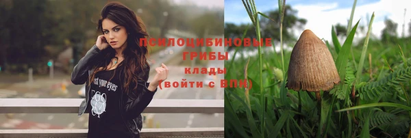стафф Абаза