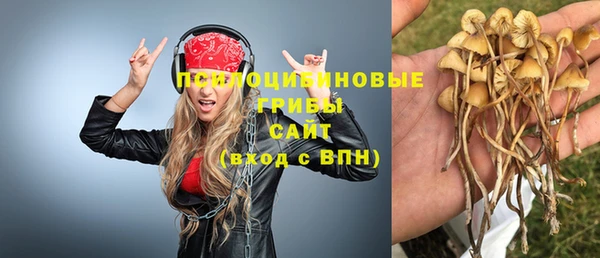 стафф Абаза